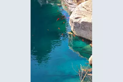 12880 Jordan Meadows Court NE, Lowell, MI 49331 - Photo 11