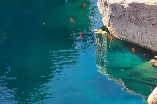 12880 Jordan Meadows Ct NE, Lowell, MI 49331 - Photo 11