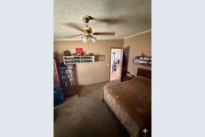 6524 N 96th Avenue, Hart, MI 49420 - Photo 13