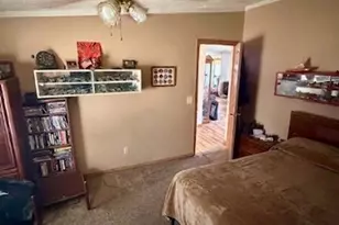 6524 N 96th Ave, Hart, MI 49420 - Photo 13