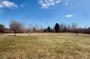 6524 N 96th Ave, Hart, MI 49420 - Photo 3