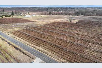 45601 72nd Street, Watervliet, MI 49098 - Photo 15