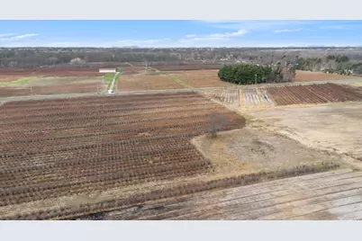 45601 72nd Street, Watervliet, MI 49098 - Photo 11