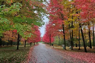 6245 Dublin Dr, Stanwood, MI 49346 - Photo 43