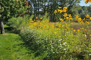 6245 Dublin Dr, Stanwood, MI 49346 - Photo 49