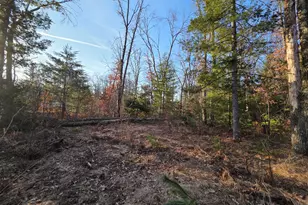 8517 S Owen Ave, Baldwin, MI 49304 - Photo 1