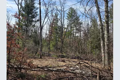 8517 S Owen Avenue, Baldwin, MI 49304 - Photo 7