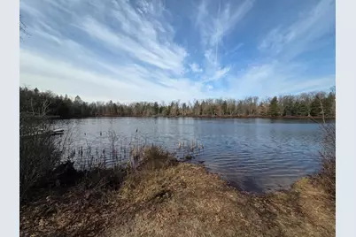 8517 S Owen Avenue, Baldwin, MI 49304 - Photo 3