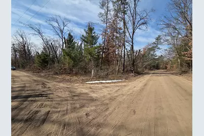 8517 S Owen Avenue, Baldwin, MI 49304 - Photo 11