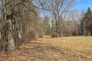 7091 Ann Arbor Rd, Jackson, MI 49201 - Photo 57