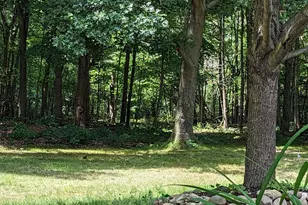 2902 63rd St, Fennville, MI 49408 - Photo 9