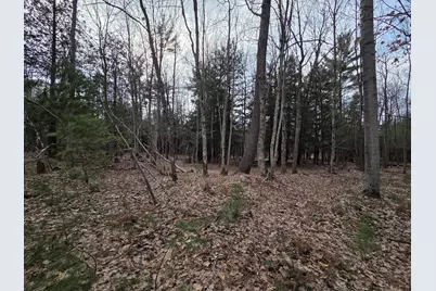 00 6 Mile Road, Irons, MI 49644 - Photo 13