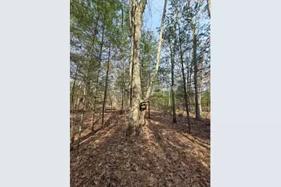 00 6 Mile Road, Irons, MI 49644 - Photo 19