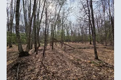 00 6 Mile Road, Irons, MI 49644 - Photo 19