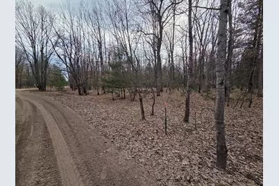 00 6 Mile Road, Irons, MI 49644 - Photo 25