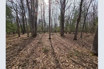 00 6 Mile Road, Irons, MI 49644 - Photo 17