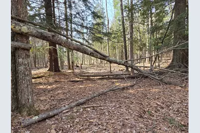 00 6 Mile Road, Irons, MI 49644 - Photo 23