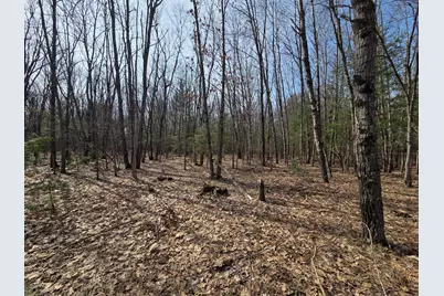 00 6 Mile Road, Irons, MI 49644 - Photo 11