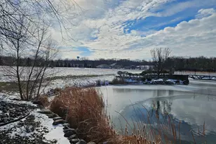 56350 Village Center Cir, Mattawan, MI 49071 - Photo 3