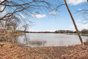 6633 Birch Shore Dr, Lakeview, MI 48850 - Photo 47