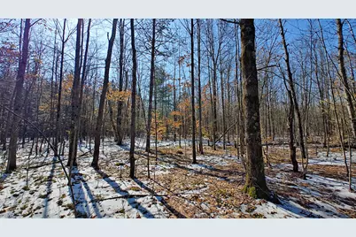 Vl Mena Creek Crossing, White Cloud, MI 49349 - Photo 31