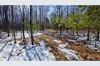 Vl Mena Creek Crossing, White Cloud, MI 49349 - Photo 29