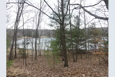 V/L W Buchanan Road, Shelby, MI 49455 - Photo 1