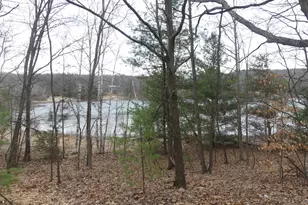 V/L W Buchanan Rd, Shelby, MI 49455 - Photo 1