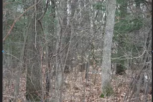 Vl Staple Rd, Muskegon, MI 49445 - Photo 1