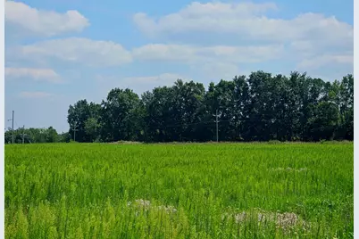 Parcel B W Carleton Road, Jonesville, MI 49250 - Photo 17