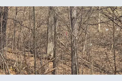 Vl 2.83A N Oceana Drive, Shelby, MI 49455 - Photo 9