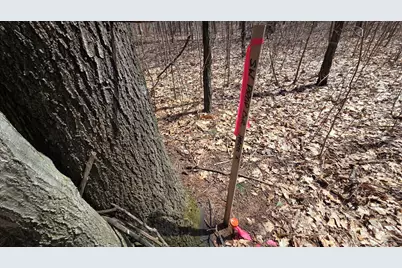 Vl 2.83A N Oceana Drive, Shelby, MI 49455 - Photo 11