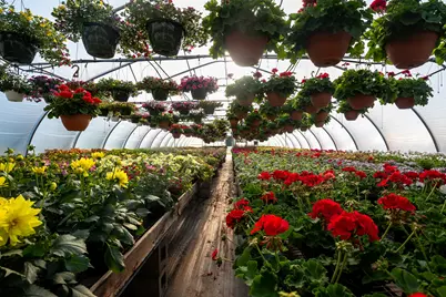 8627 Cleveland Avenue, Baroda, MI 49101 - Photo 3