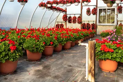 8627 Cleveland Avenue, Baroda, MI 49101 - Photo 27