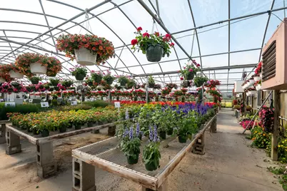 8627 Cleveland Avenue, Baroda, MI 49101 - Photo 7