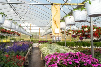 8627 Cleveland Avenue, Baroda, MI 49101 - Photo 37