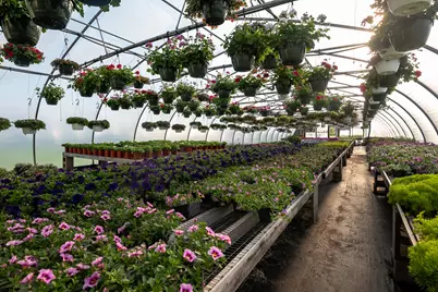 8627 Cleveland Avenue, Baroda, MI 49101 - Photo 29