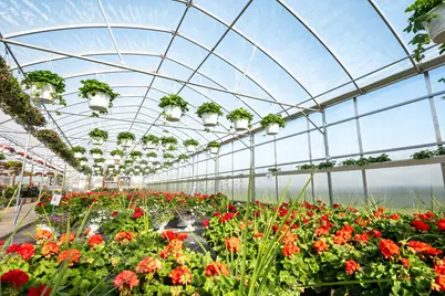 8627 Cleveland Avenue, Baroda, MI 49101 - Photo 5