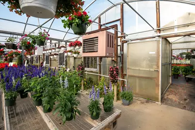 8627 Cleveland Avenue, Baroda, MI 49101 - Photo 61