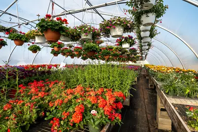 8627 Cleveland Avenue, Baroda, MI 49101 - Photo 23