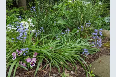 1737 Greenlawn Avenue, Kalamazoo, MI 49006 - Photo 45