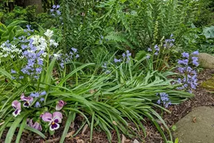 1737 Greenlawn Ave, Kalamazoo, MI 49006 - Photo 45