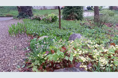 1737 Greenlawn Avenue, Kalamazoo, MI 49006 - Photo 5