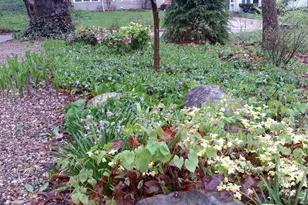 1737 Greenlawn Ave, Kalamazoo, MI 49006 - Photo 5