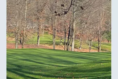 8975 Whispering Lane #234-235, Canadian Lakes, MI 49346 - Photo 3