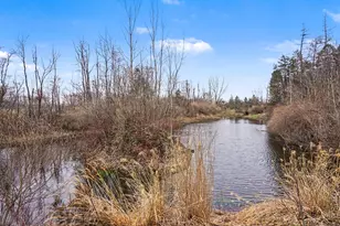 1719 66th St, Fennville, MI 49408 - Photo 11