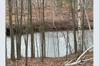 10910 Boxwood Drive #247, Canadian Lakes, MI 49346 - Photo 5