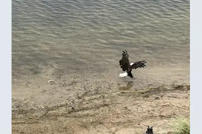 5320 Stella Road, Custer, MI 49405 - Photo 63