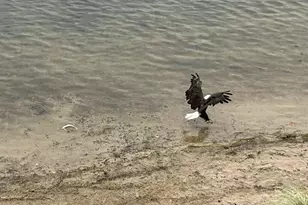 5320 Stella Rd, Custer, MI 49405 - Photo 63