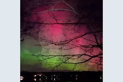 5320 Stella Road, Custer, MI 49405 - Photo 67